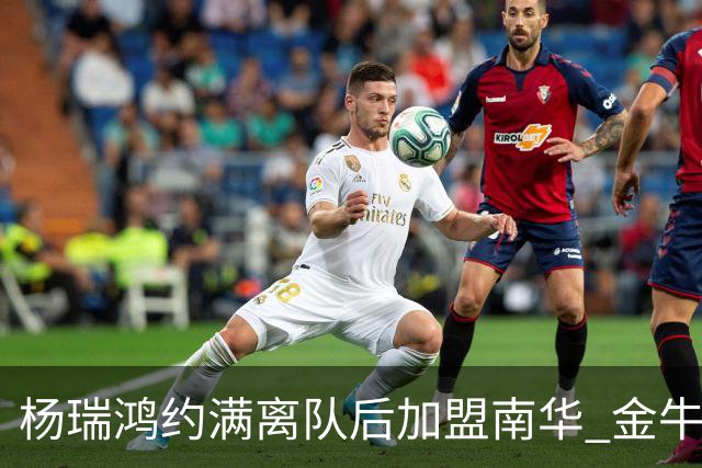 杨瑞鸿约满离队后加盟南华 金牛会继续为他加油